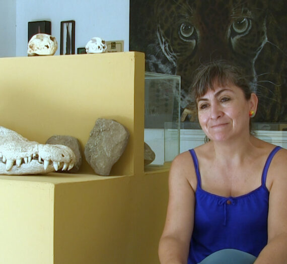 Muchas veces pensamos en Extinción como evento de tiempos pasados, ó de toda la vida saber de especies en peligro de extinción. La Dra. Susana Casas nos comparte un panorama actual y de tomarse en cuenta.