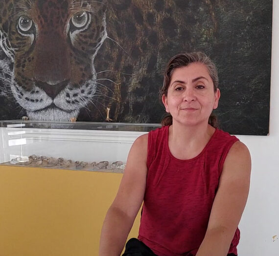 Perros Ferales. Una situación presente todos los días y sus efectos.