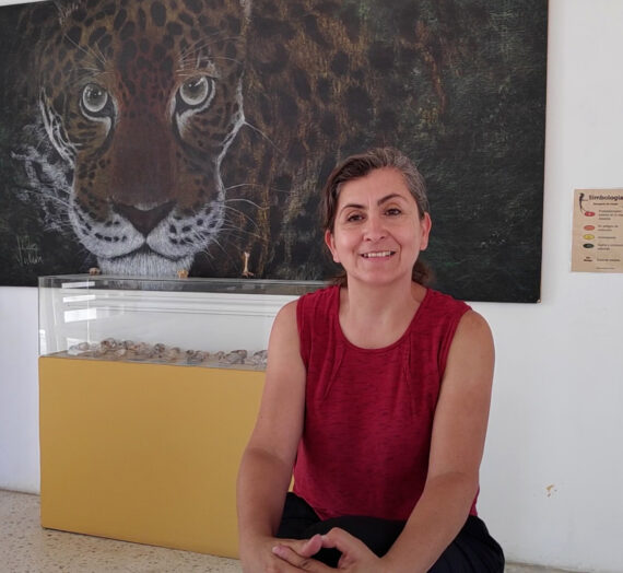 Psitácidos. La actualidad de tener pericos en casa.