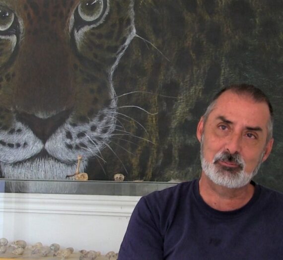 Compartiendo conclusiones acerca de la iniciativa de Ley de Bienestar Animal.