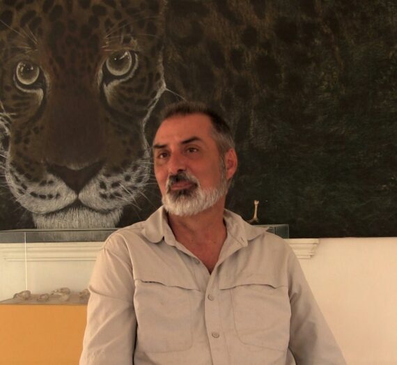 Explicación breve de las Especies Lázaro y otras situaciones alrededor.