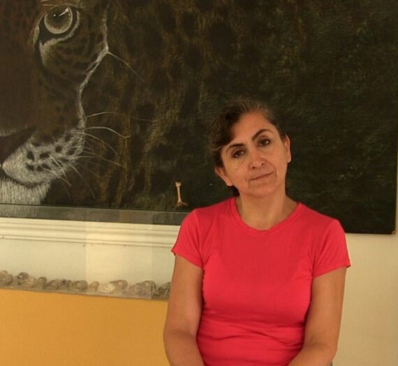 Un análisis a los Santuarios de Vida Silvestre en México.