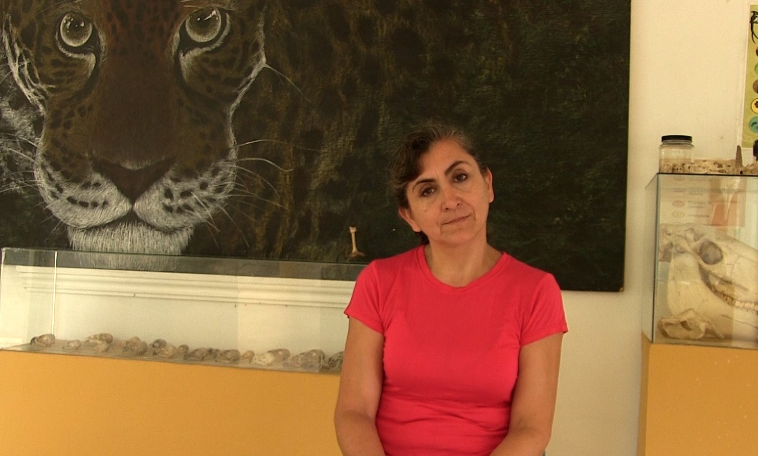 Un análisis a los Santuarios de Vida Silvestre en México.